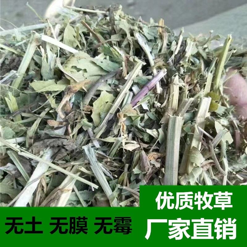 花生秧大量上市，常年供应，营养丰富，欢迎采购