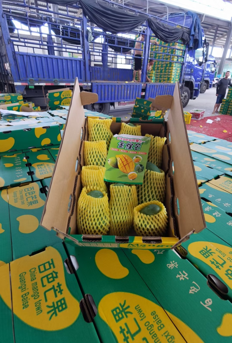 广西甜心金煌芒，承接社区团购，落地配，市场档口，电商代发