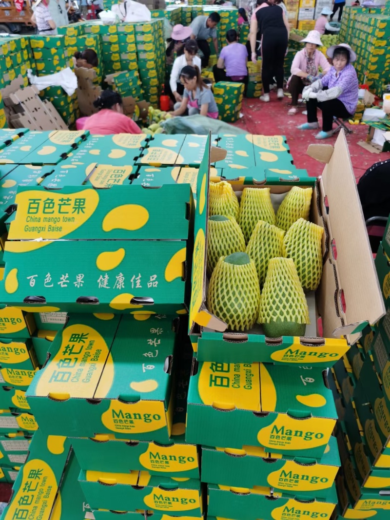 广西甜心金煌芒，承接社区团购，落地配，市场档口，电商代发