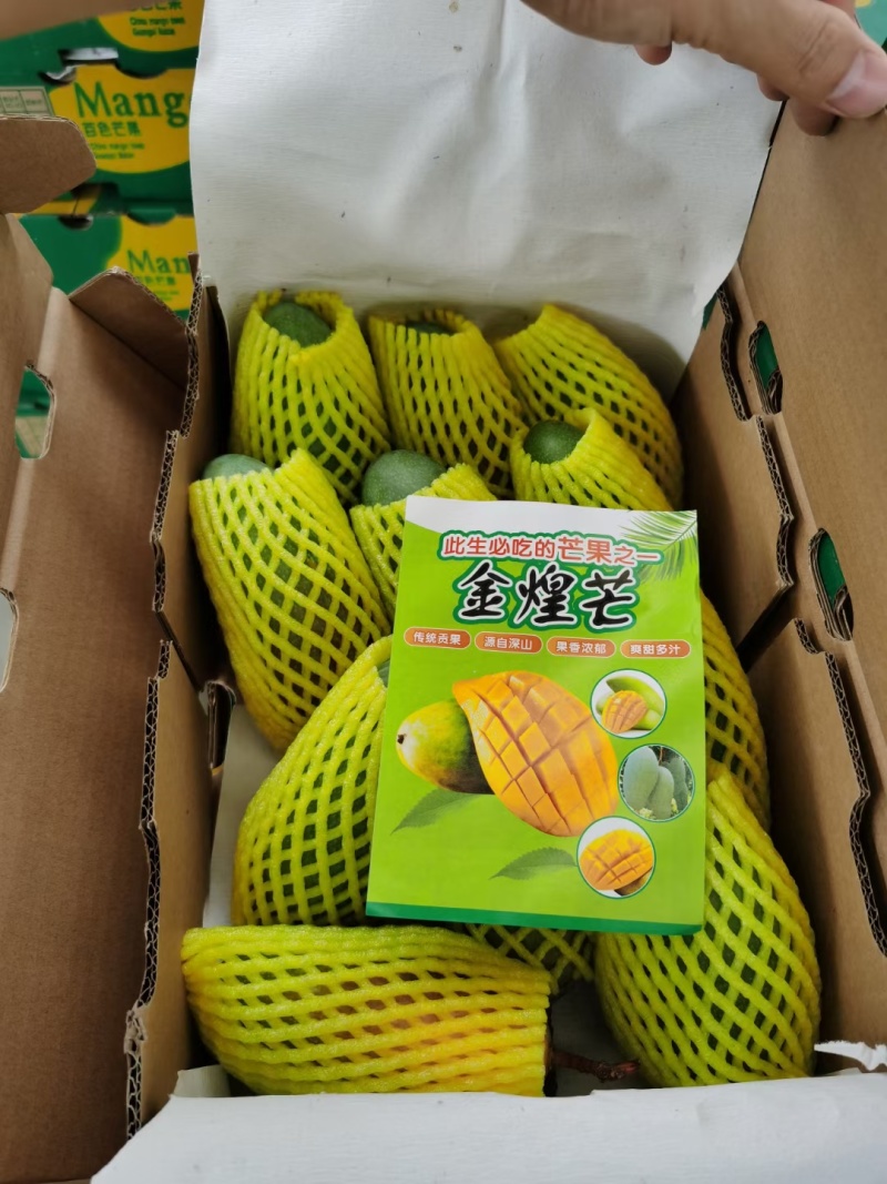 广西甜心金煌芒，承接社区团购，落地配，市场档口，电商代发