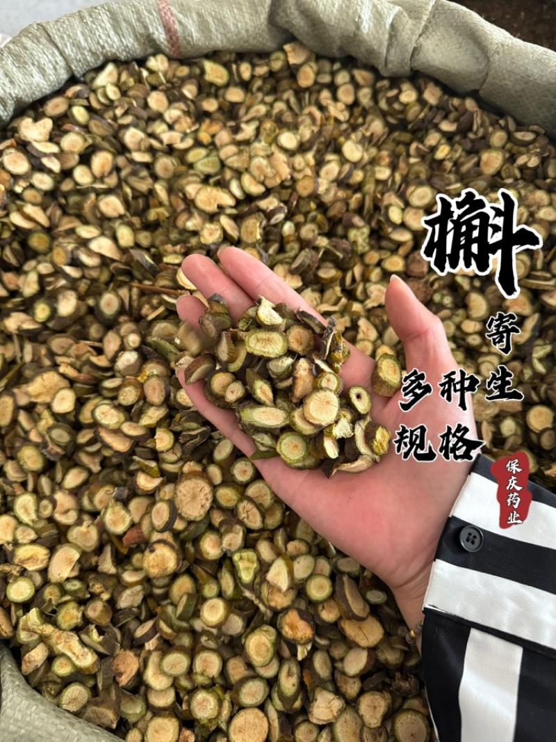 寄生槲寄生保庆药业不带叶寄生过筛发货如图