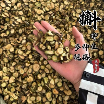 寄生槲寄生保庆药业不带叶寄生过筛发货如图