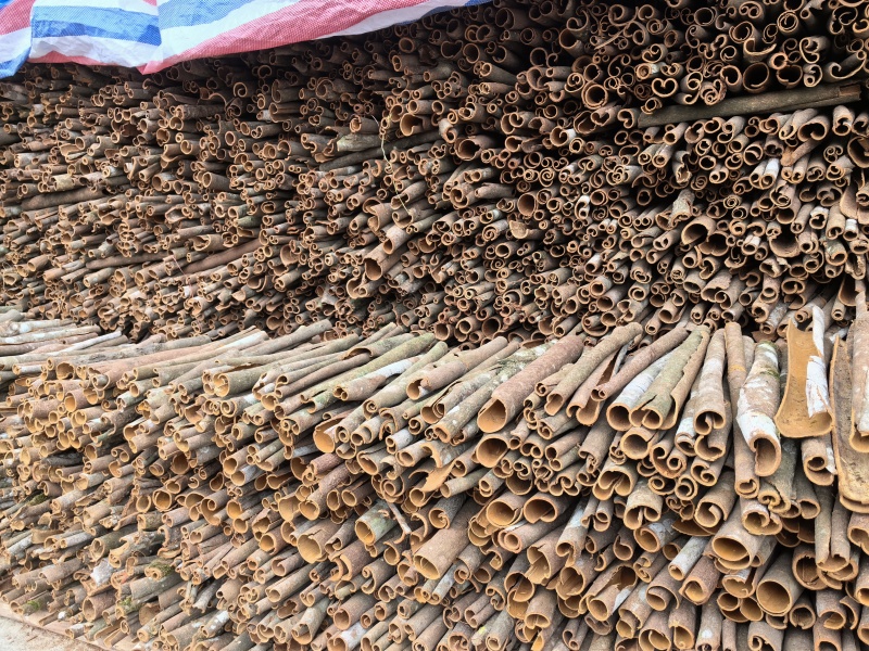 广西桂皮干净足干无硫现货产地直发欢迎致电
