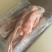 【牛商商家】东北精品鹅（120天）量大从优欢迎咨询