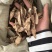 白蔹中药材白敛山地瓜实物拍摄白蔹片