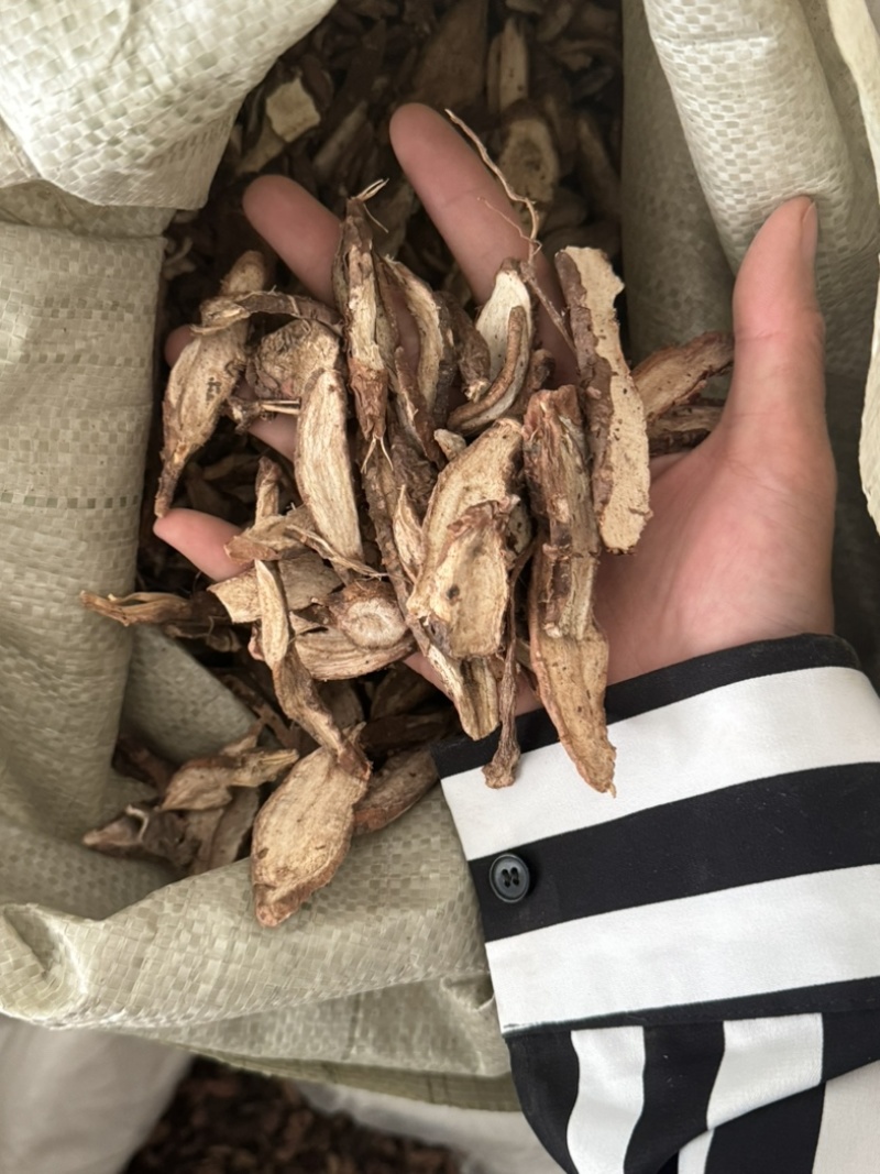 白蔹中药材白敛山地瓜实物拍摄白蔹片