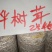 桦树茸白桦茸桦褐孔菌菌包菌棒出菇包