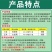 康立见17%唑醚氟环唑悬浮剂小麦白粉病玉米大斑病农药杀菌