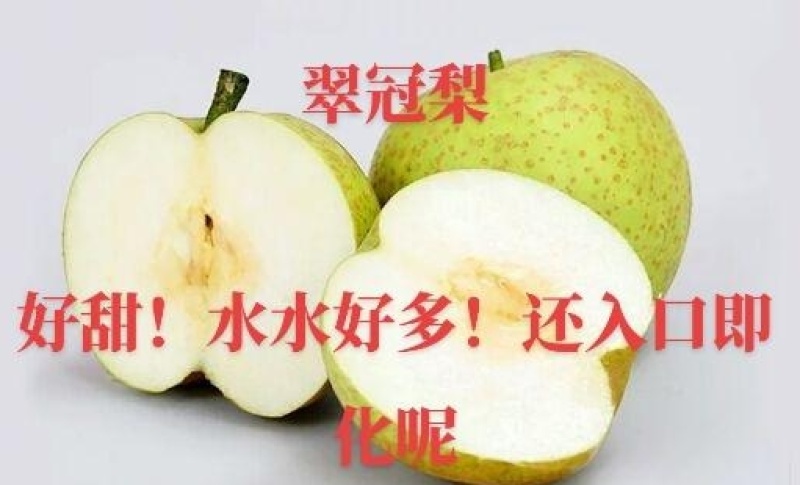 翠冠梨子，早熟品种，皮薄肉厚，纯甜无渣，入口即化