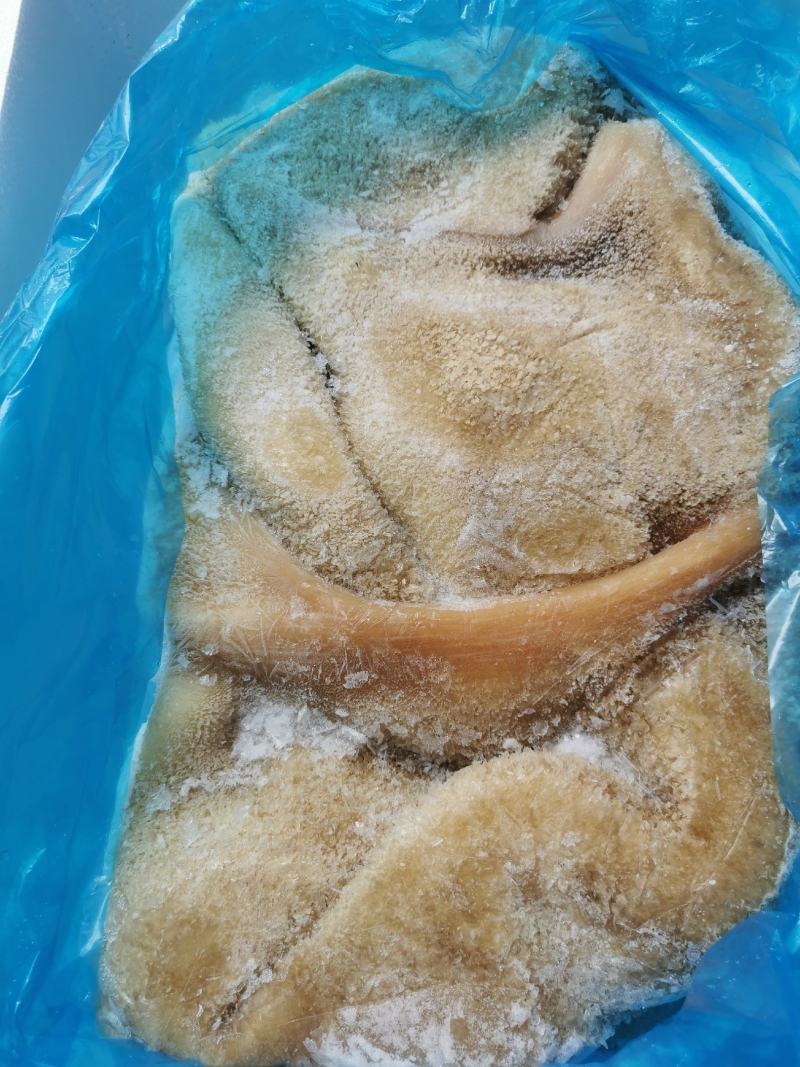 熟牛肚牛大肚金钱肚卤菜店可用一手货源库房现货供应品质保证