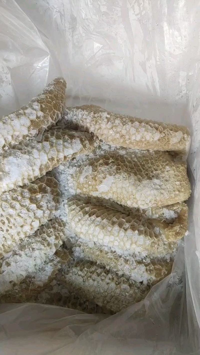 熟牛肚牛大肚金钱肚卤菜店可用一手货源库房现货供应品质保证