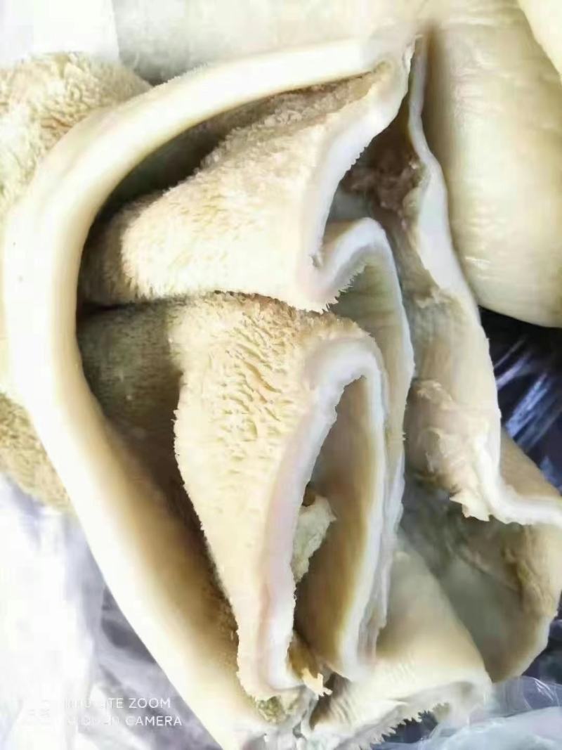 熟牛肚牛大肚金钱肚卤菜店可用一手货源库房现货供应品质保证
