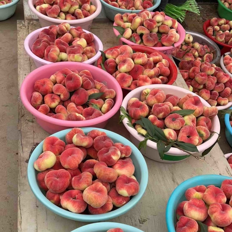 红蟠桃4kg 红蟠桃4kg