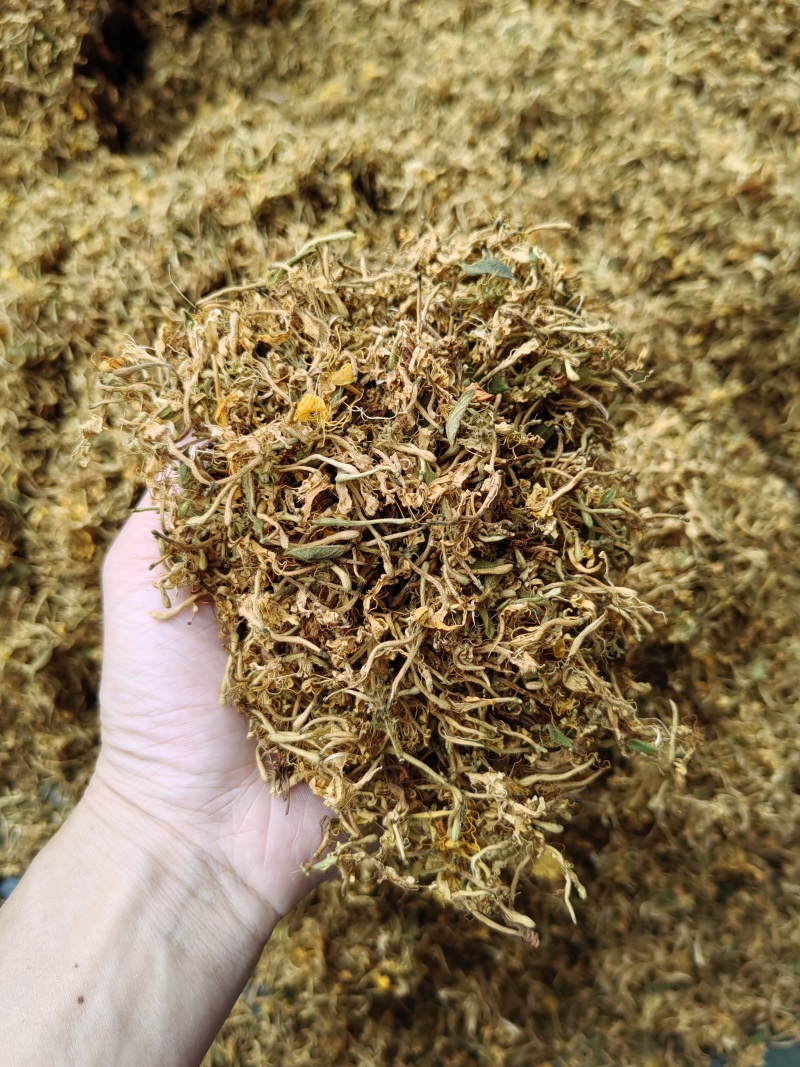 精品金银花产地直发品质保证量大从优一手货源欢迎联系