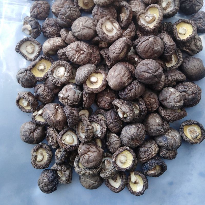 香菇批发散装净重干货禾珍味香菇商用黄焖鸡特价退货包运费