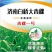 精品大蒜济南大青稞蒜种产地直发一手货源量大价优