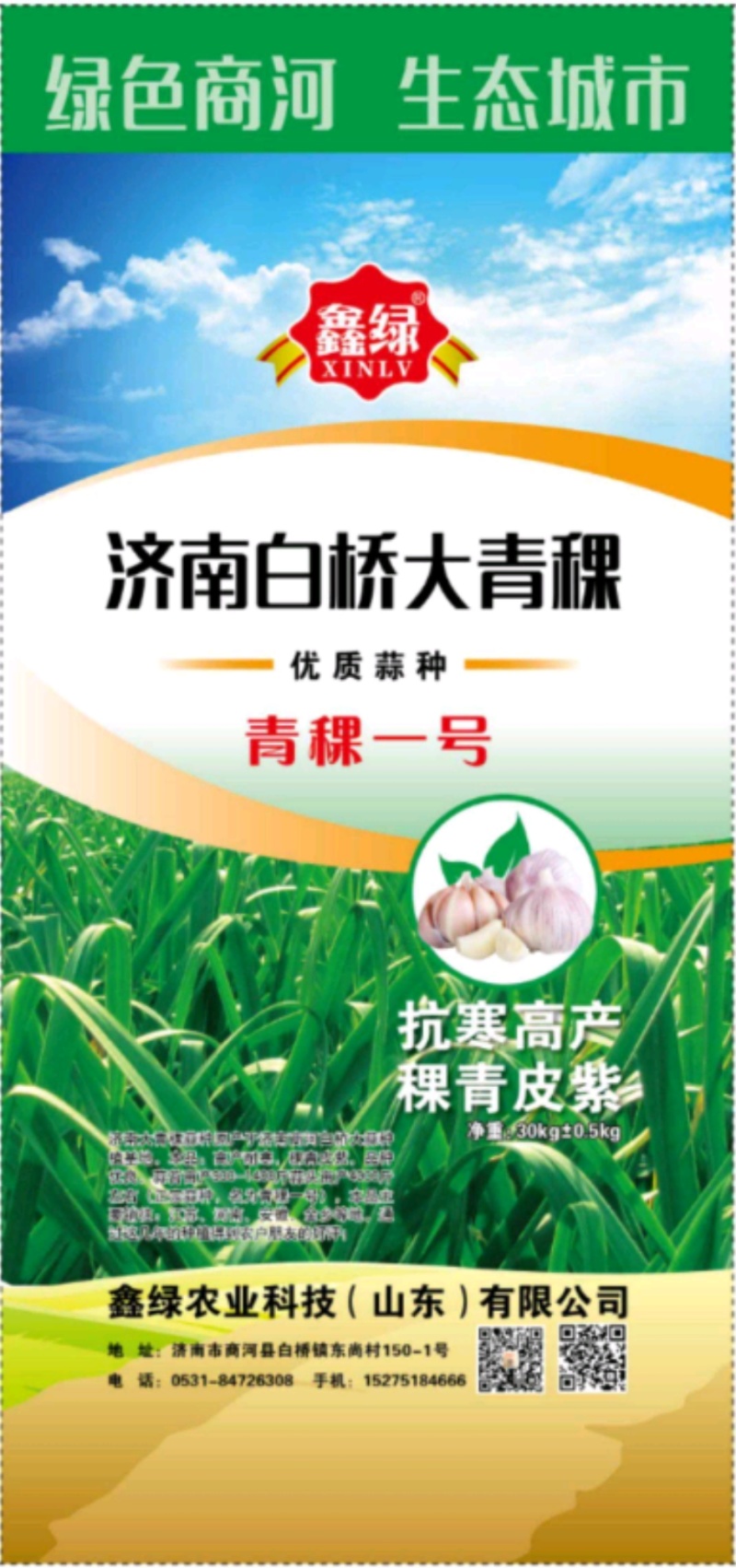 精品大蒜济南大青稞蒜种产地直发一手货源量大价优
