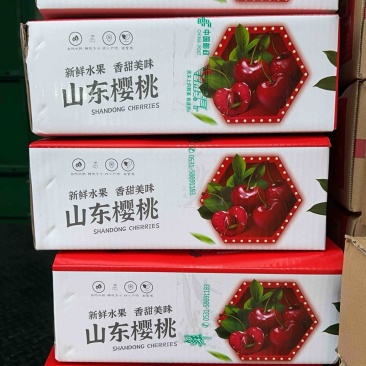 山东美早红灯樱桃专业代发，飘全国
