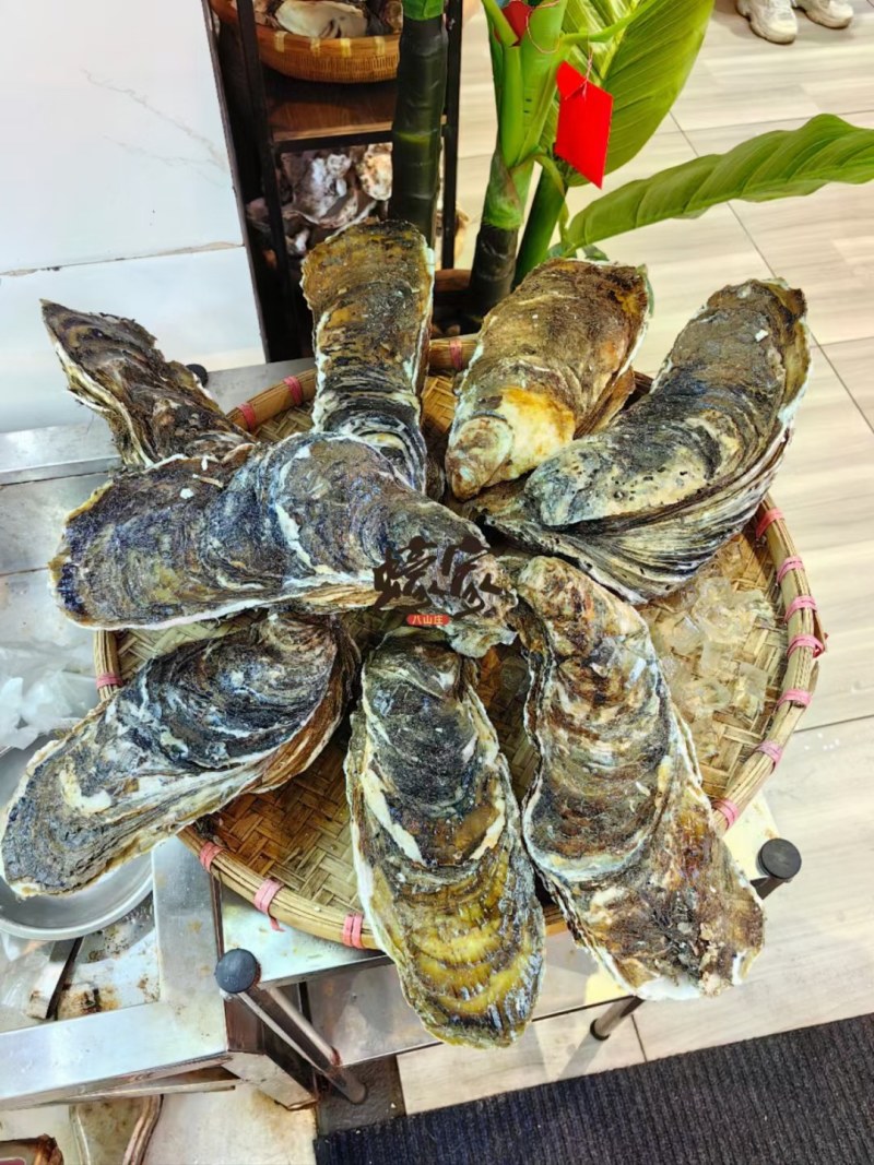 手臂蚝，拖鞋蚝，特大蚝，台山排底蚝，湛江蚝供应商