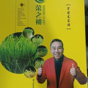 香椿芽苗菜基地大量种植量大质优价格优惠欢迎咨询