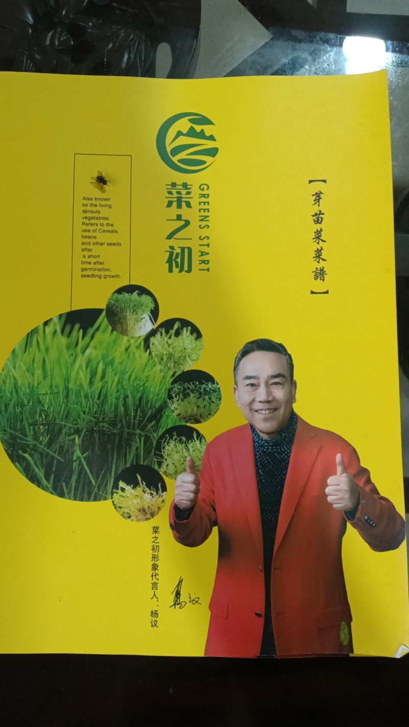 香椿芽苗菜基地大量种植量大质优价格优惠欢迎咨询