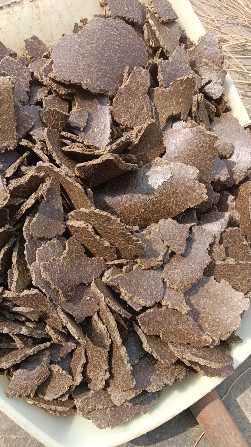 牛羊饲料二级花生饼花生二级饼蛋白20左右灰份5个以内无霉变