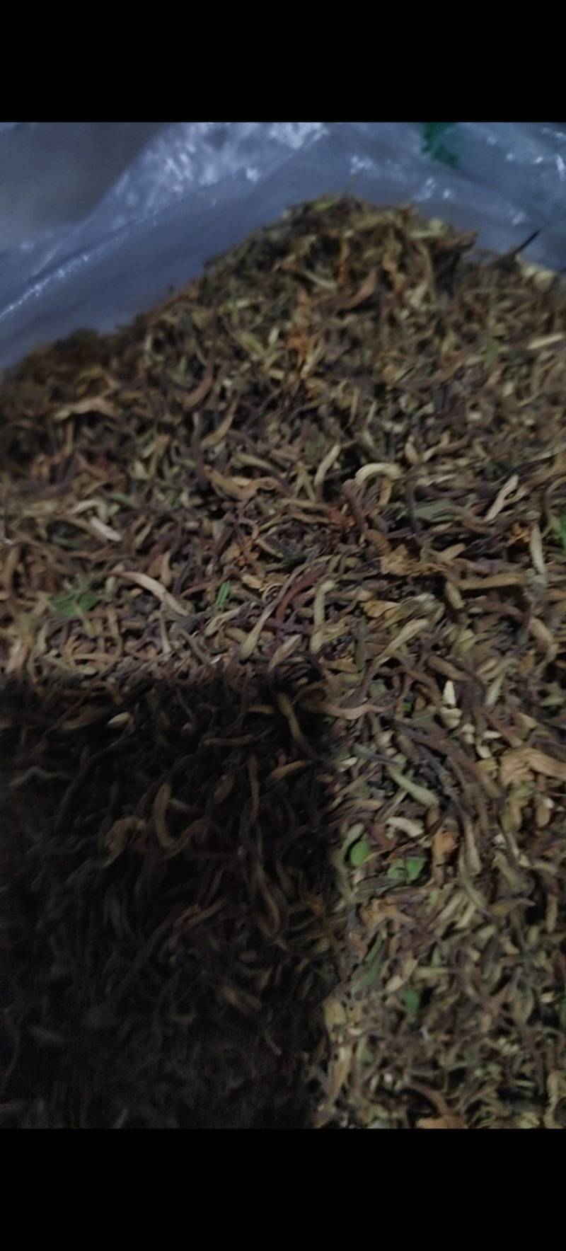 湖北恩施特长，金银花