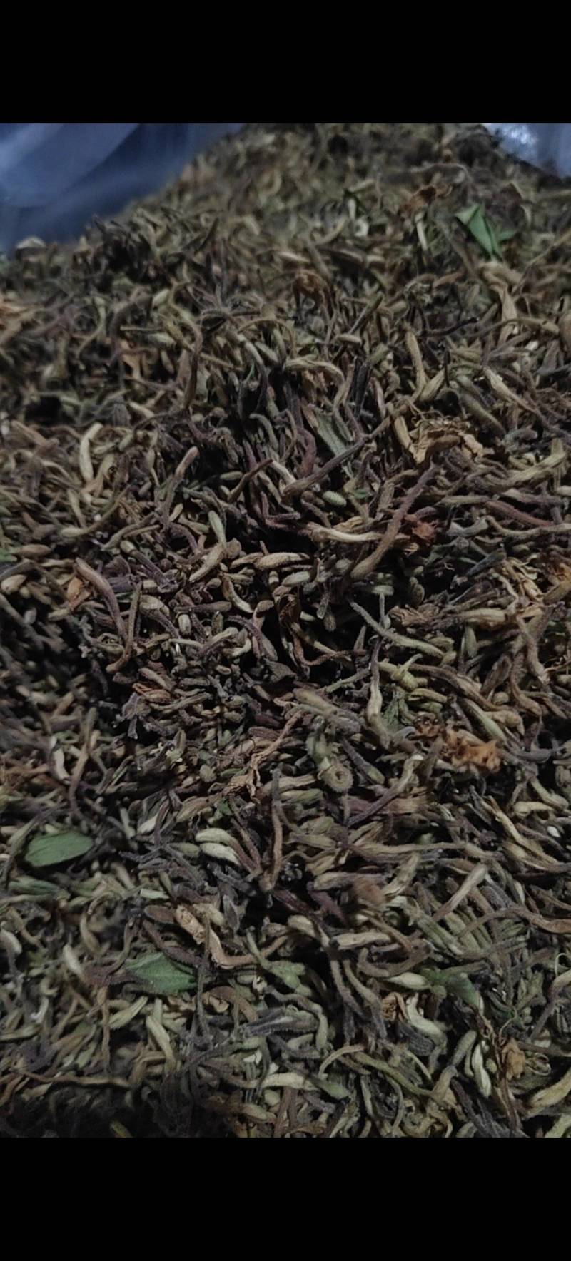 湖北恩施特长，金银花