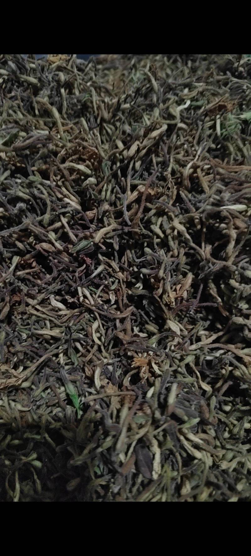 湖北恩施特长，金银花