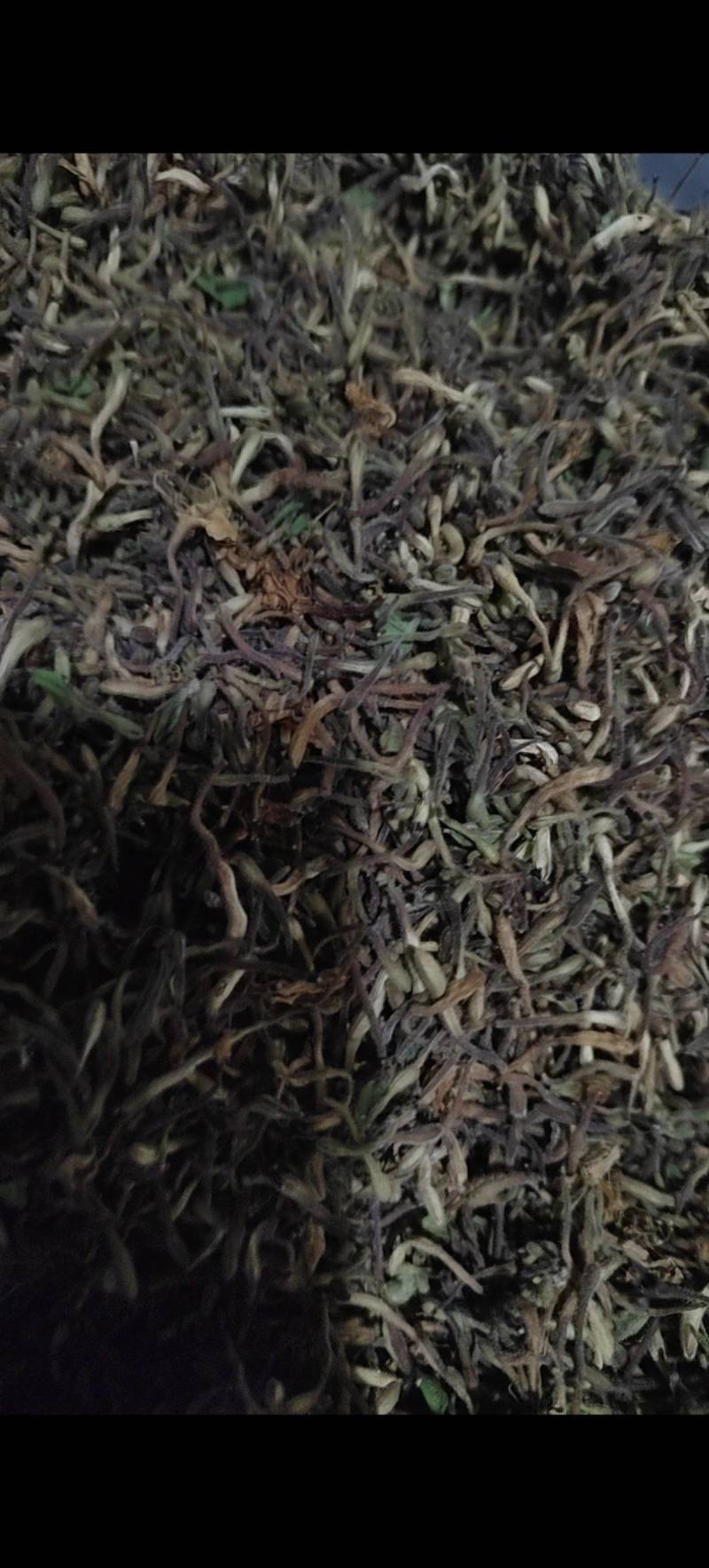 湖北恩施特长，金银花