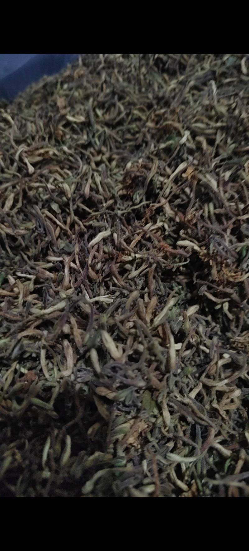 湖北恩施特长，金银花