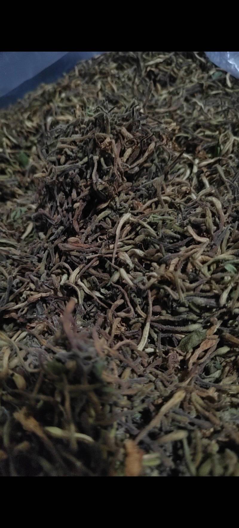 湖北恩施特长，金银花