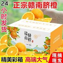 【严选】江西赣南脐橙甜橙子果园基地直发批发一手货源