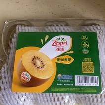 新西兰佳沛阳光金果奇异果进口黄心猕猴桃一件代发上海仓