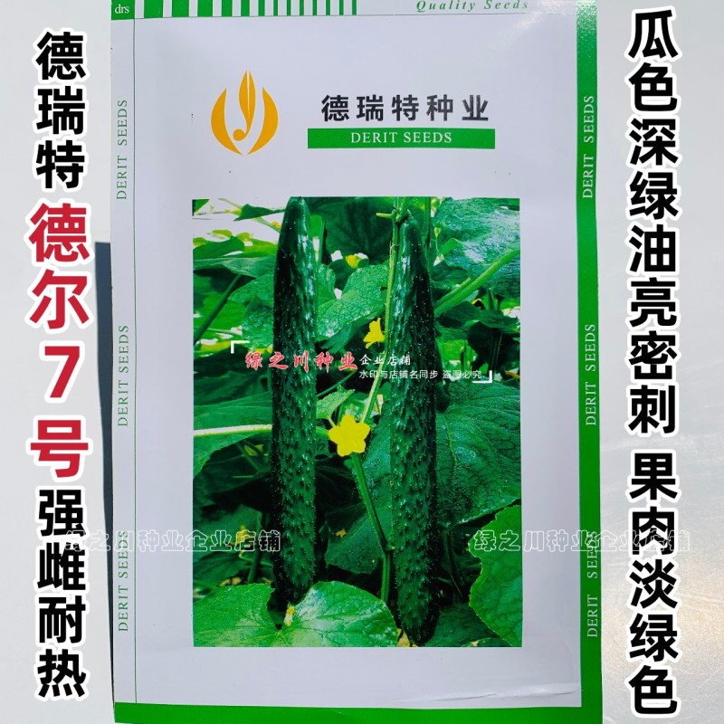 强雌耐热密刺黄瓜种子天津德瑞特德尔7号黄瓜种籽深绿油亮