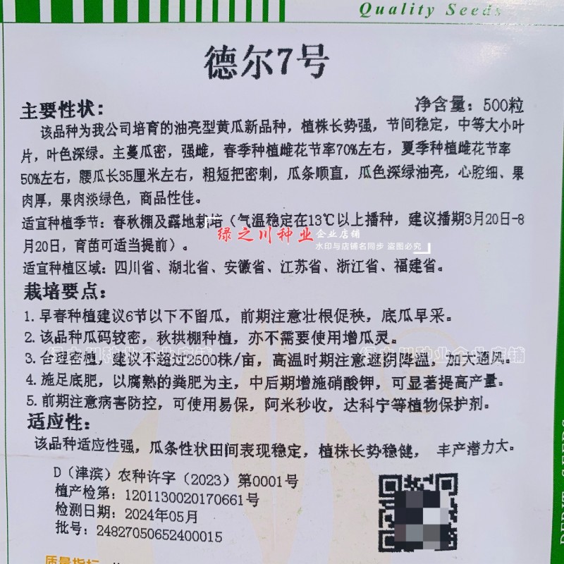 强雌耐热密刺黄瓜种子天津德瑞特德尔7号黄瓜种籽深绿油亮