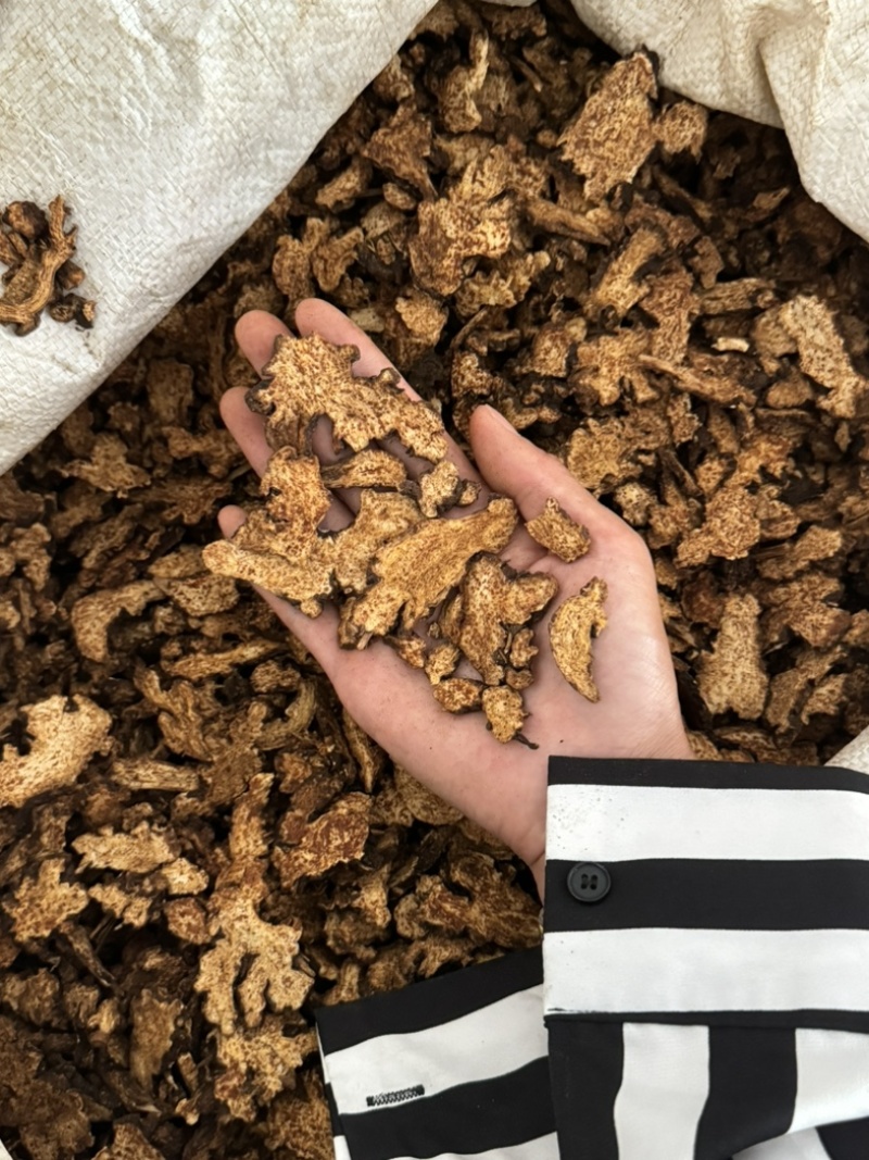 炒苍术朱砂点苍术实拍现货正品不加重保庆药业