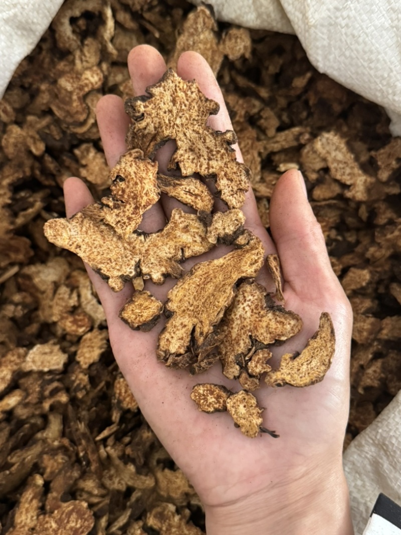 炒苍术朱砂点苍术实拍现货正品不加重保庆药业