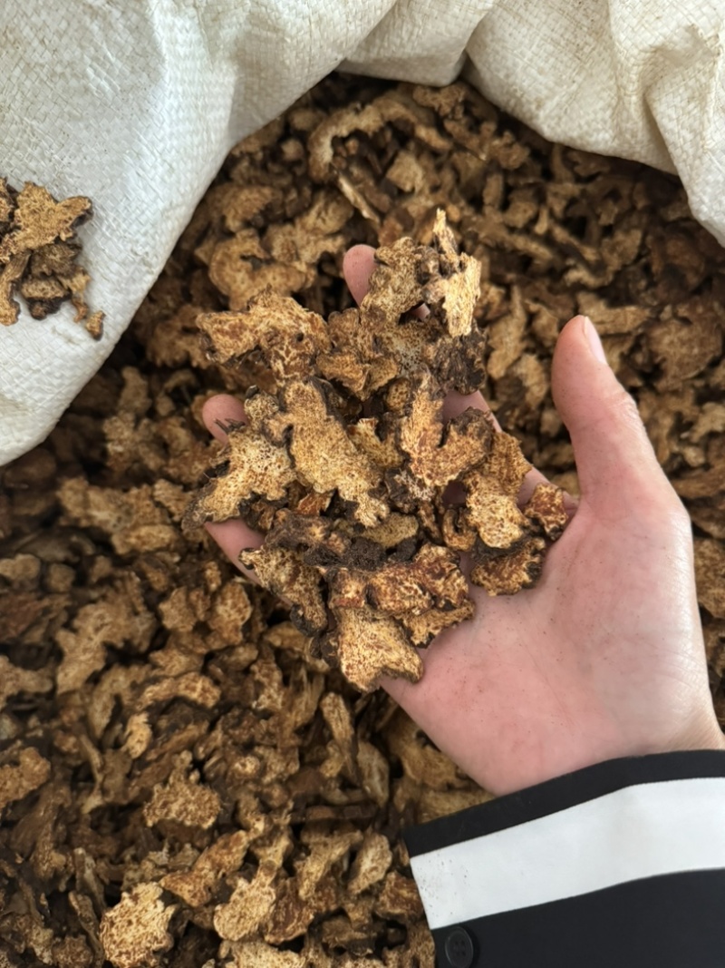 炒苍术朱砂点苍术实拍现货正品不加重保庆药业