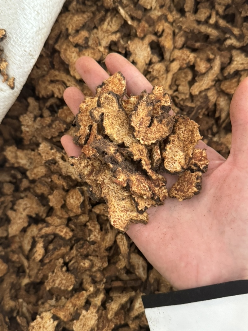 炒苍术朱砂点苍术实拍现货正品不加重保庆药业