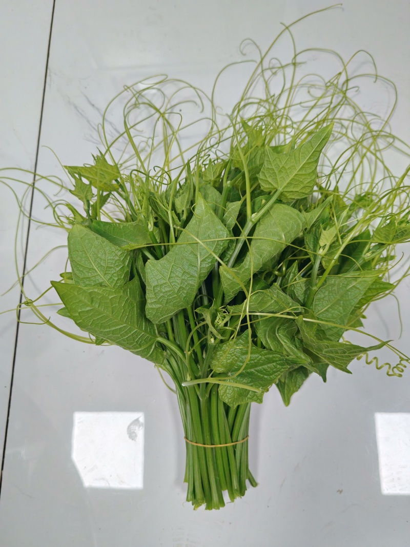新品上市龙须菜
