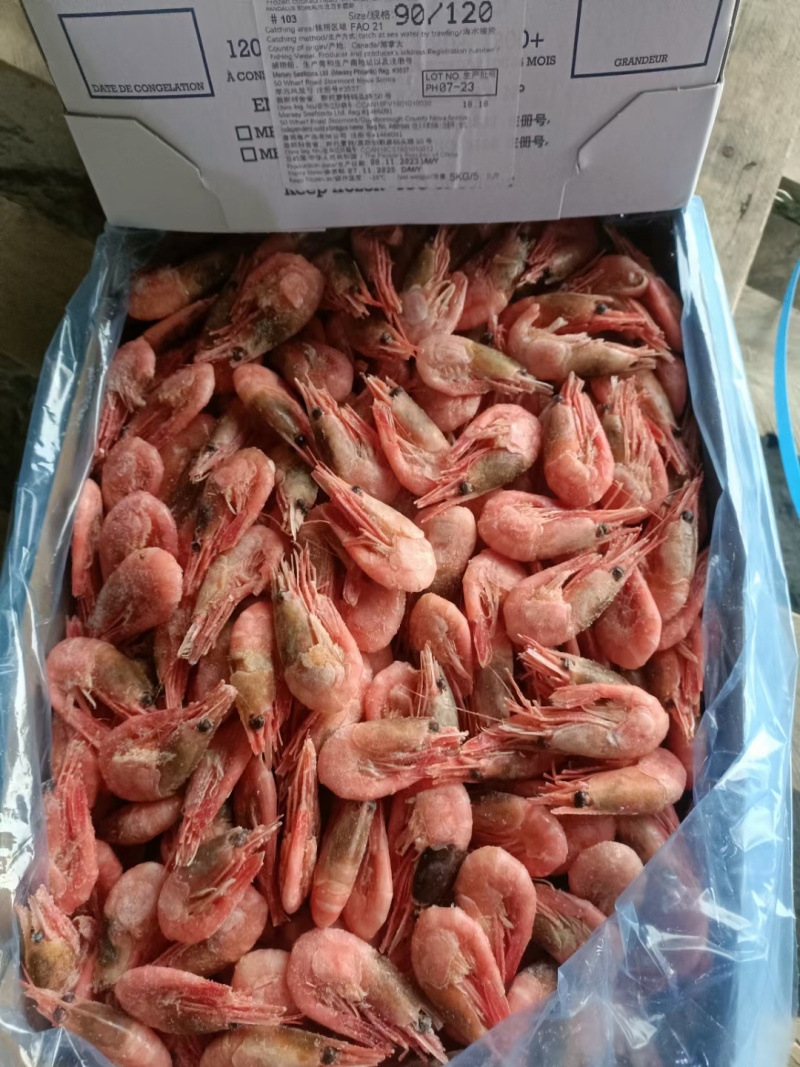 北极虾青头北极甜虾80/100超大规格规格