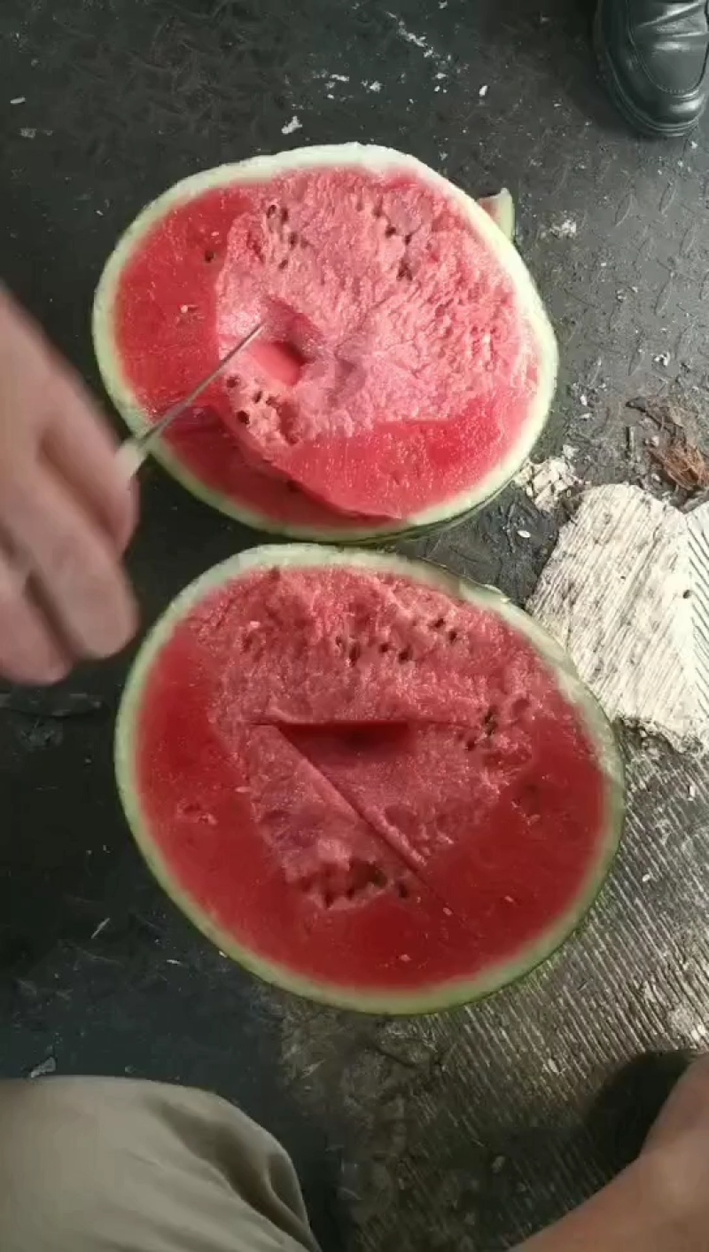 陕西无籽麒麟西瓜/美都西瓜/产地直发/质量三包/全国代发