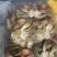 冻青蟹排各种规格都有量大从优欢迎各位老板采购