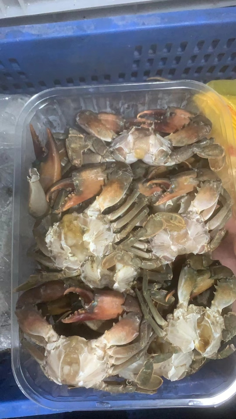 冻青蟹排各种规格都有量大从优欢迎各位老板采购