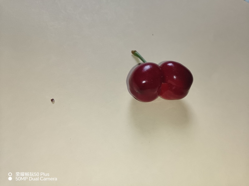自己家种的凉地樱桃
