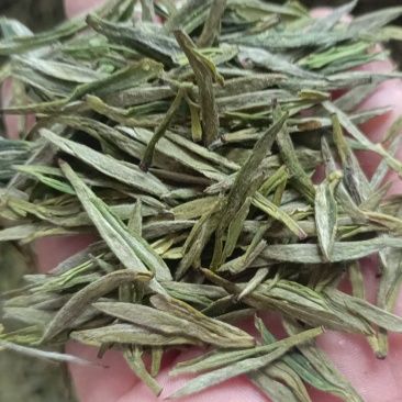 茶叶