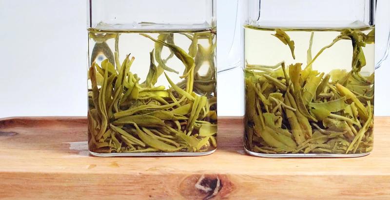 茶
