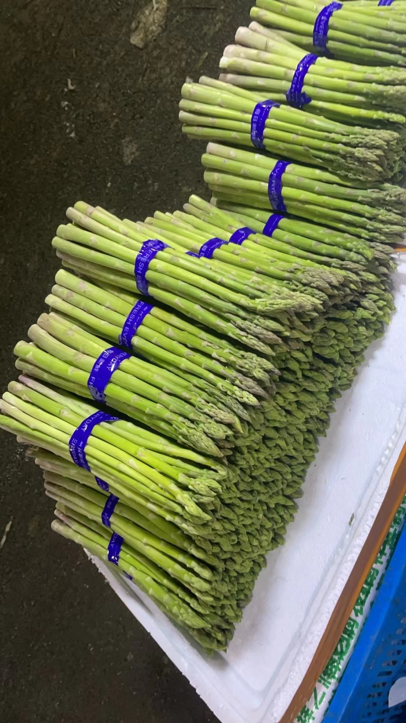 绿，白芦笋，基地直供，品质保证支持一件代发对接社区团购。