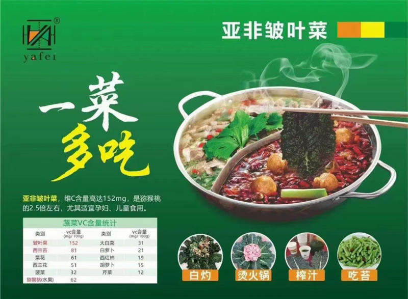 新特-皱叶维C菜